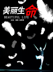 印度33337777